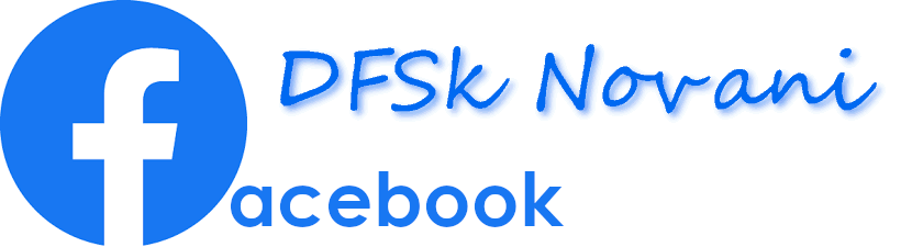 Facebook DFSK Novani